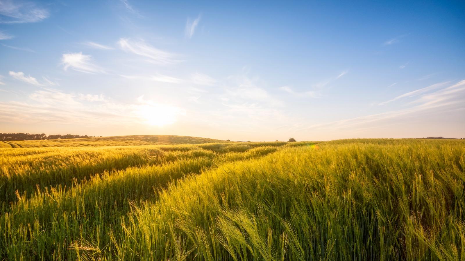 Riesgos climáticos en la producción de alimentos y minerales