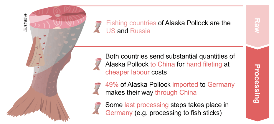 Alaska Pollock case study